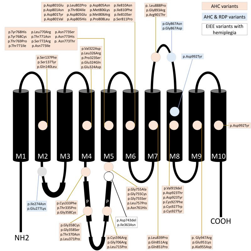 An external file that holds a picture, illustration, etc., usually as some form of binary object. The name of referred object is rmmj-15-3-e0015_g001.gif